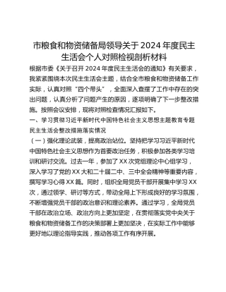 市粮食和物资储备局领导关于2024年度民主生活会个人对照检视剖析材料