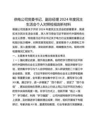 供电公司党委书记、副总经理2024年度民主生活会个人对照检视剖析材料