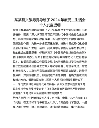 某某县文旅局党导班子2024年度民主生活会个人发言提纲