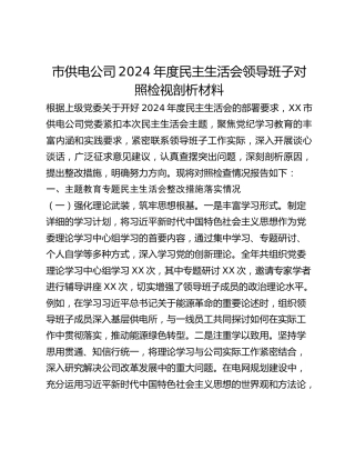 市供电公司2024年度民主生活会领导班子对照检视剖析材料