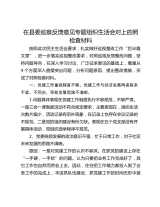 在县委巡察反馈意见专题组织生活会对上的照检查材料