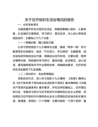 关于召开组织生活会情况的报告