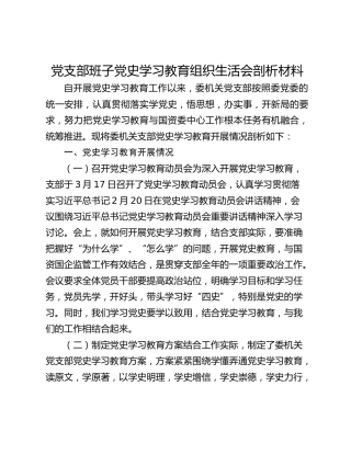 党支部班子学习教育组织生活会剖析材料