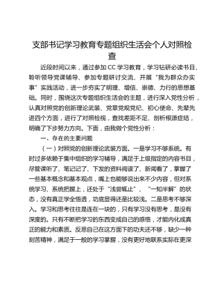 支部书记学习教育专题组织生活会个人对照检查