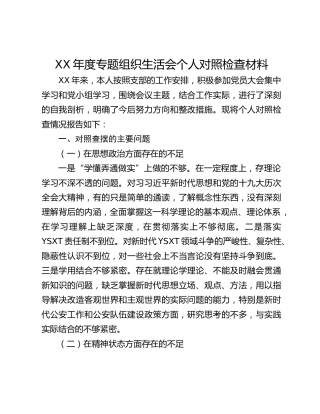 XX年度专题组织生活会个人对照检查材料