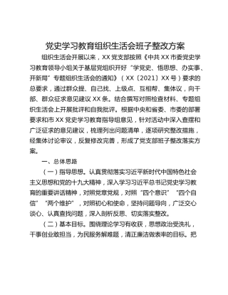 党史学习教育组织生活会班子整改方案