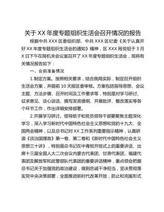 关于XX年度专题组织生活会召开情况的报告