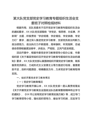 某大队党支部党史学习教育专题组织生活会支委班子对照检视材料