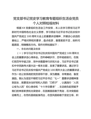 党支部书记党史学习教育专题组织生活会党员个人对照检视材料