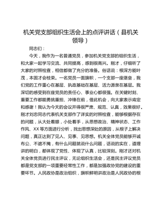机关党支部组织生活会上的点评讲话（县机关领导）