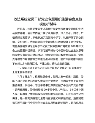 政法系统党员干部党史专题组织生活会盘点检视剖析材料