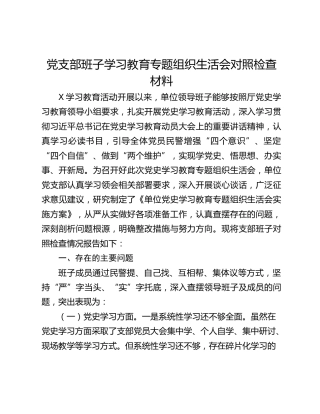 党支部学习教育专题组织生活会对照检查材料