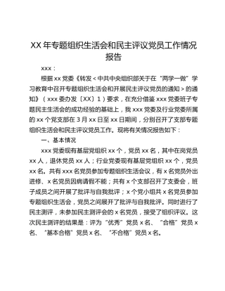 XX年专题组织生活会和民主评议党员工作情况报告