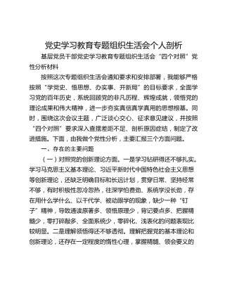 党史学习教育专题组织生活会个人剖析
