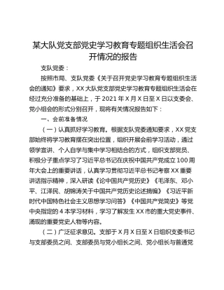 某党支部党史学习教育专题组织生活会召开情况的报告
