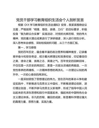 党员干部学习教育组织生活会个人剖析发言