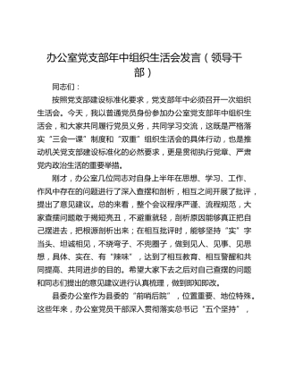办公室党支部年中组织生活会发言(领导干部)