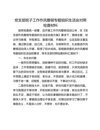 党支部班子工作作风整顿专题组织生活会对照检查材料