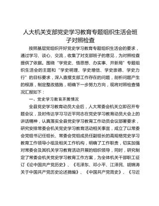 人大机关支部党史学习教育专题组织生活会班子对照检查