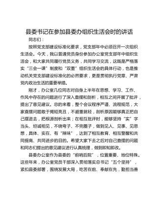 县委书记在参加县委办组织生活会时的讲话