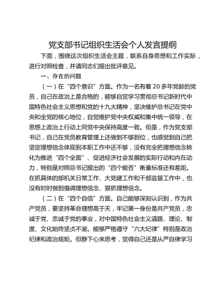 （两办）党支部书记组织生活会个人发言提纲