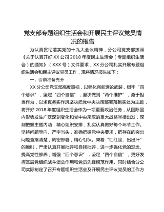 党支部专题组织生活会和开展民主评议党员情况的报告