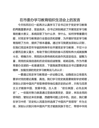 在市委办学习教育组织生活会上的发言