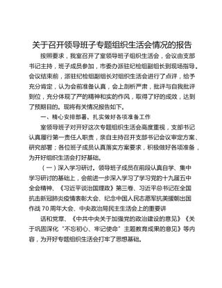 关于召开领导班子专题组织生活会情况的报告