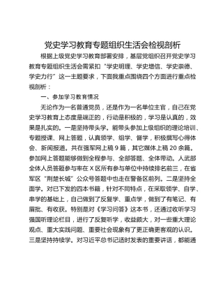 党史学习教育专题组织生活会检视剖析