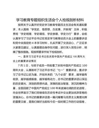 学习教育专题组织生活会个人检视剖析材料