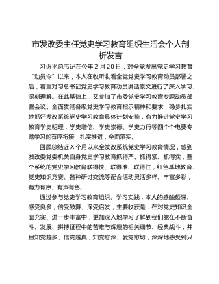 市发改委主任党史学习教育组织生活会个人剖析发言