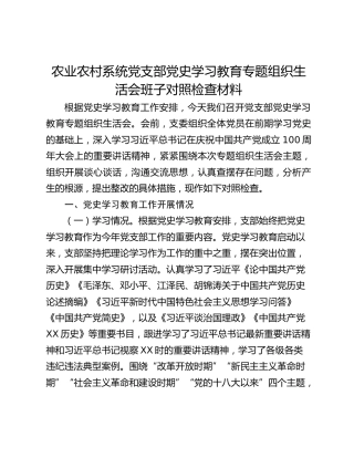 农业农村系统党支部党史学习教育专题组织生活会班子对照检查材料