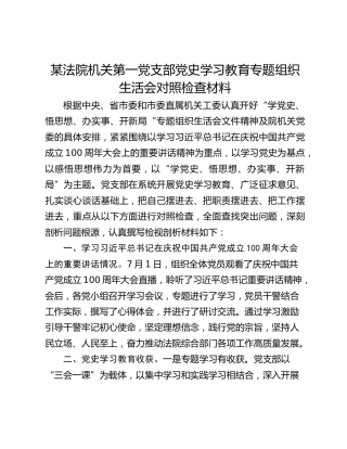 法院机关第一党支部党史学习教育专题组织生活会对照检查材料