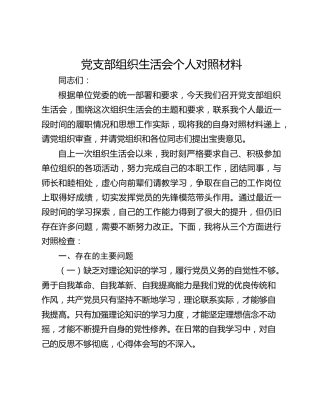 党支部组织生活会个人对照材料