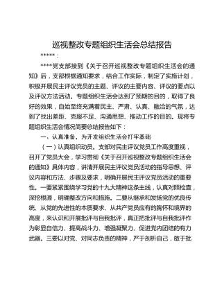 巡视整改专题组织生活会总结报告