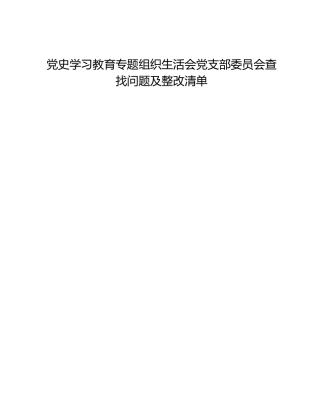 党史学习教育专题组织生活会党支部委员会查找问题及整改清单
