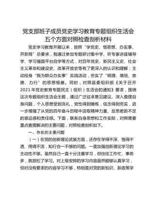 党支部班子成员党史学习教育专题组织生活会五个方面对照检查剖析材料