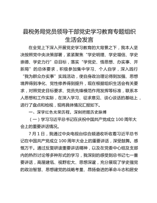 县税务局党员领导干部党史学习教育专题组织生活会发言