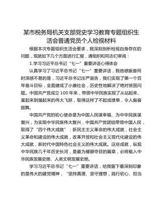 某市税务局机关支部党史学习教育专题组织生活会普通党员个人检视材料