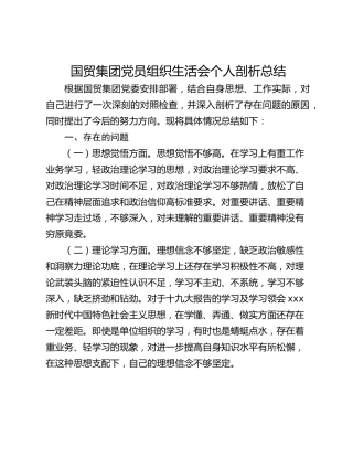 国贸集团党员组织生活会个人剖析总结
