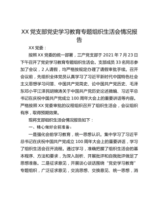 XX党支部党史学习教育专题组织生活会情况报告