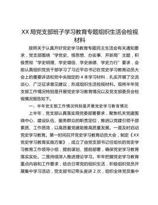 XX局党支部班子学习教育专题组织生活会检视材料
