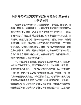粮食局办公室党史学习教育专题组织生活会个人剖析材料