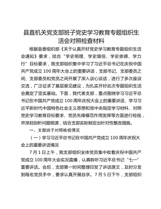 县直机关党支部班子党史学习教育专题组织生活会对照检查材料