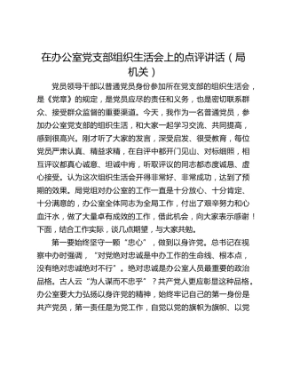 在办公室党支部组织生活会上的点评讲话（局机关）