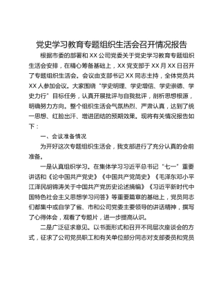 党史学习教育专题组织生活会召开情况报告