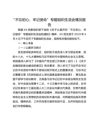 “不忘初心、牢记使命”专题组织生活会情况报告