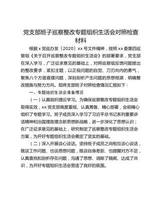 党支部班子巡察整改专题组织生活会对照检查材料