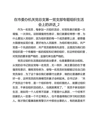 在市委办机关党总支第一党支部专题组织生活会上的讲话_2