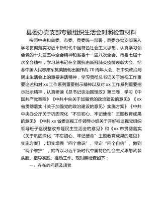 县委办党支部专题组织生活会对照检查材料 (2)